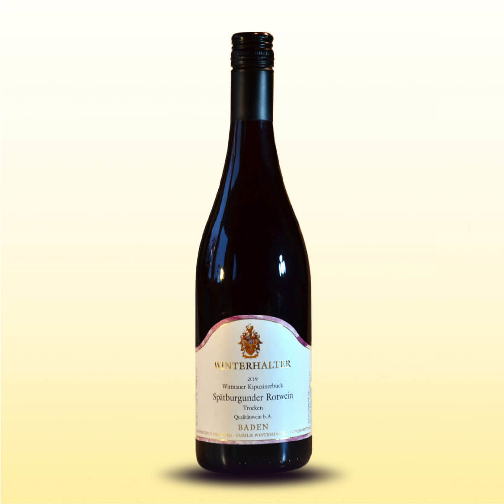 Spätburgunder Rotwein - trocken 2019